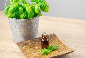 Curcuma - Curcuma longa